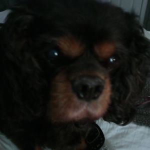 Meet your Posher, Lynne